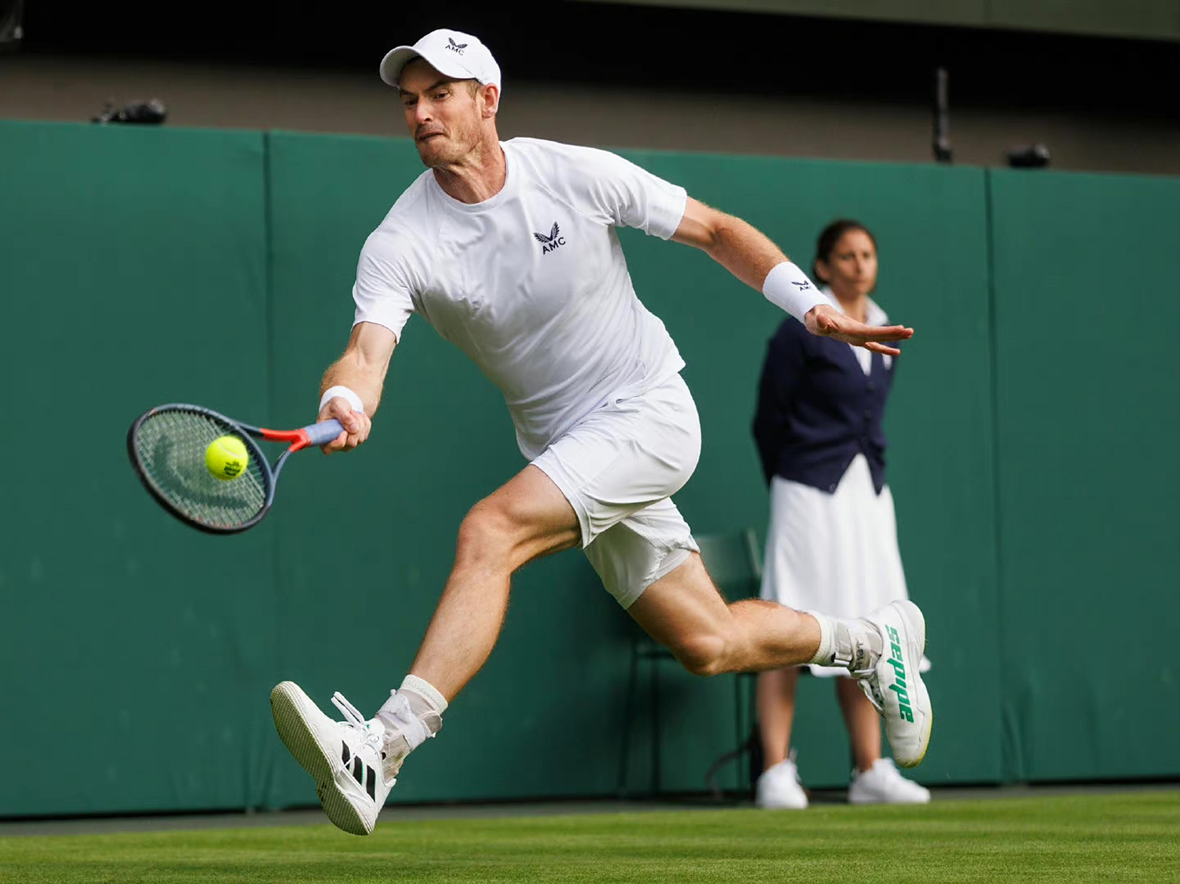 意大利网球队力克日本网球队，穆雷统治全场的简单介绍