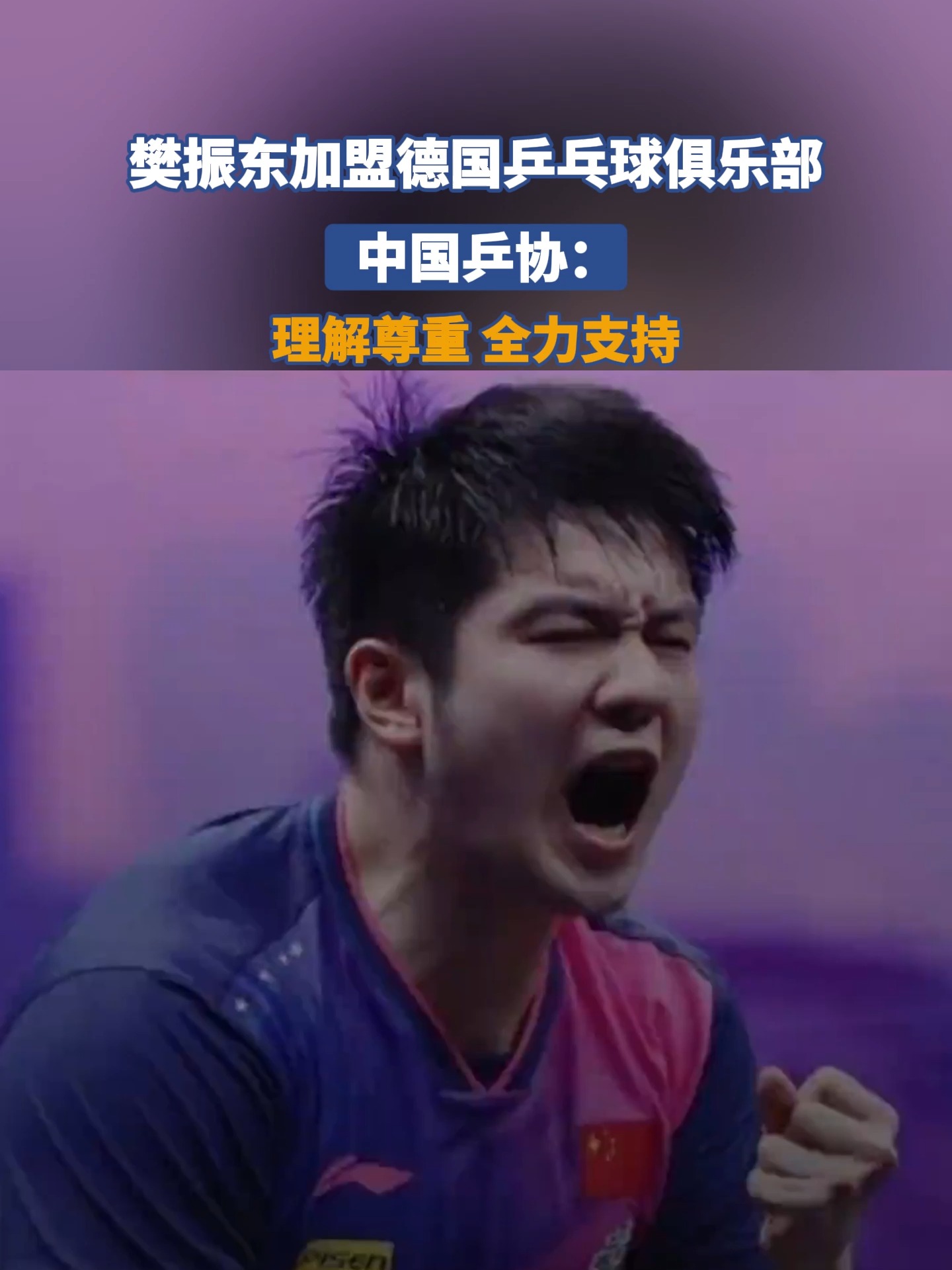 关于德国乒乓球队血洗法国乒乓球队，樊振东统治全场的信息