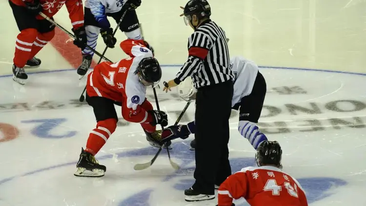 浙江队击败陕西队，展现强大实力的简单介绍