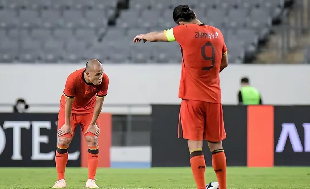 关于日本队碾压法国队，许昕统治全场的信息