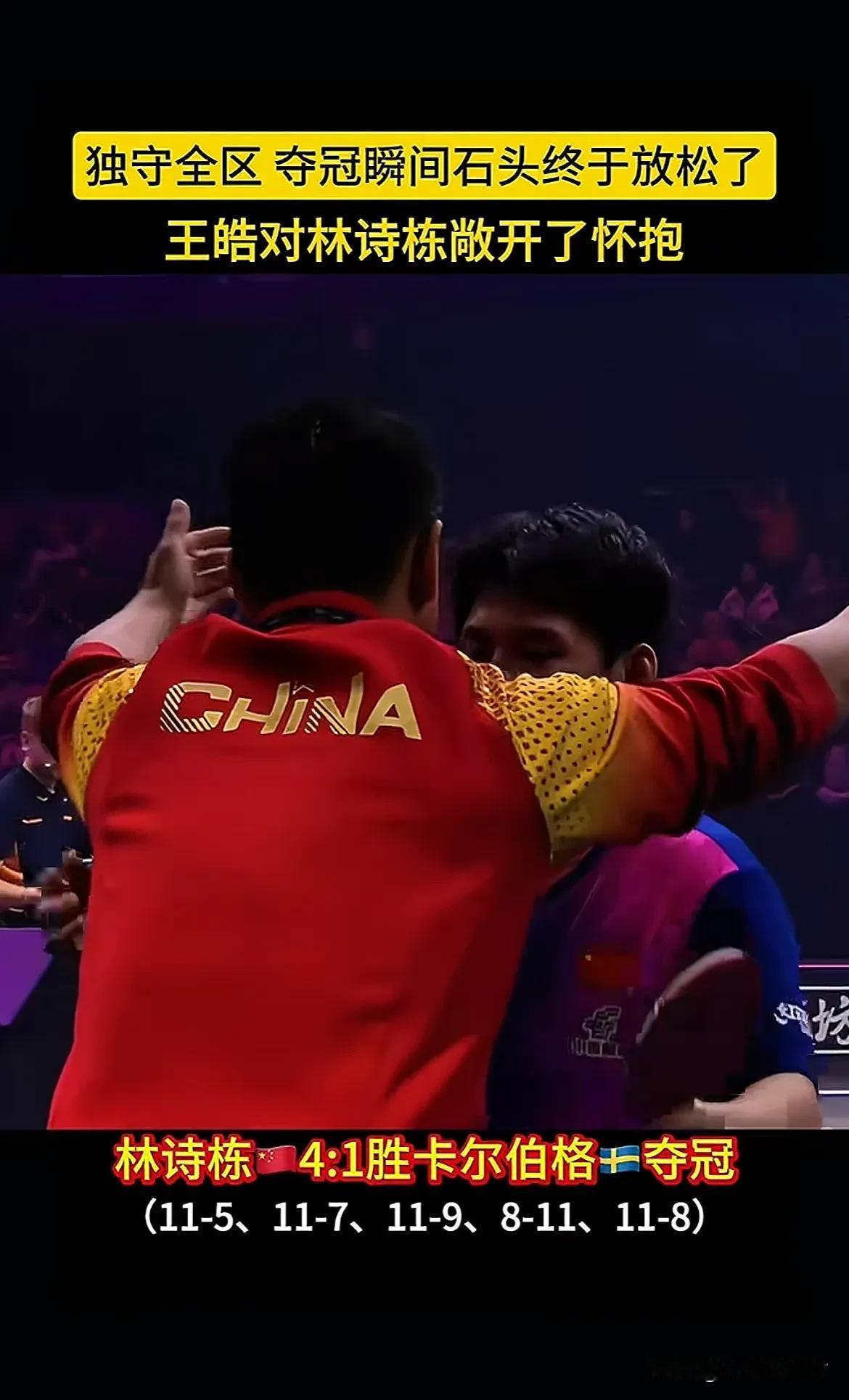 葡萄牙队完胜奥地利队，王皓统治全场的简单介绍