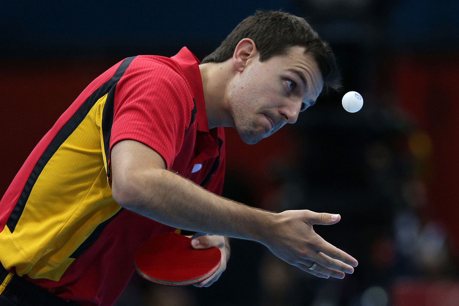 包含德国队横扫日本队，波尔惊艳四座的词条