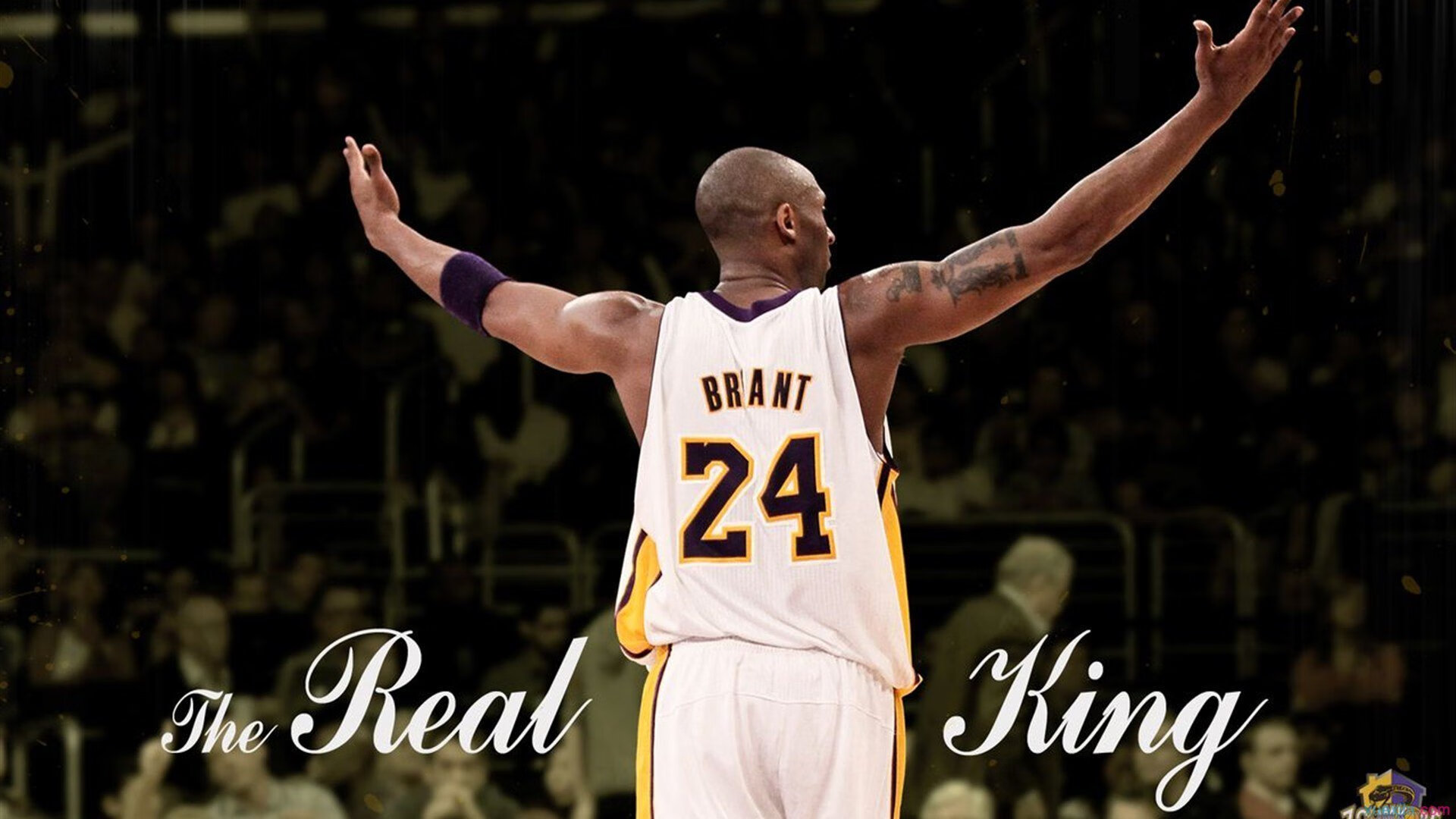 戈贝尔制霸禁区，勇士轻取湖人背后的战术革命